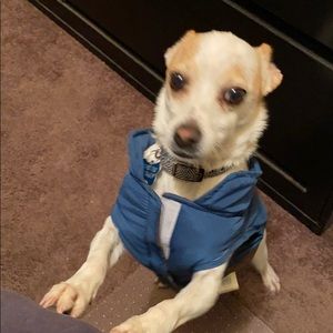 Meet your Posher, Rosa